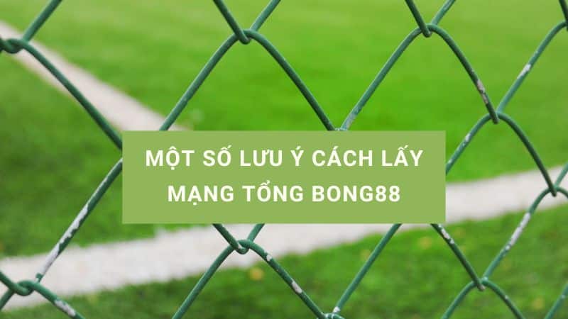 lấy mạng bóng 88