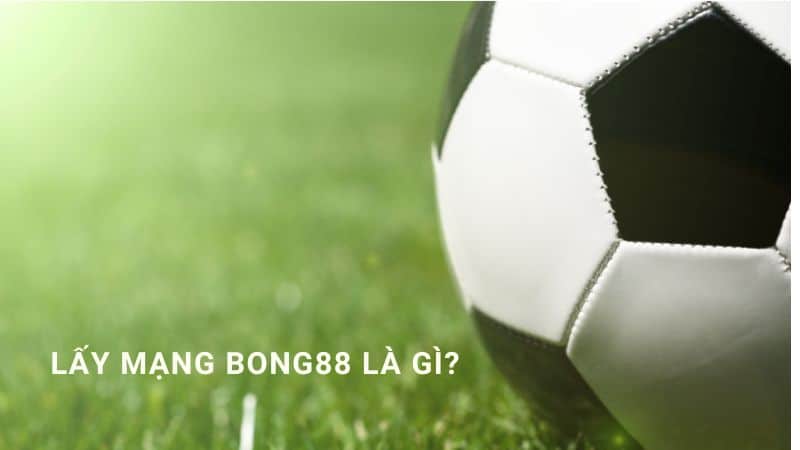 lấy mạng tổng bong88