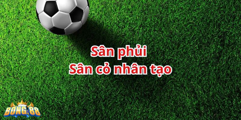 siêu phủi là gì